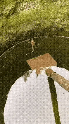 这人太坏了，让它看一眼外面的世界，又给放回去了[捂脸哭]