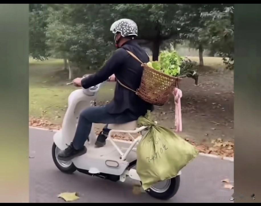 看看现在新国标电动车上路标配吧，虽然政策把储物箱去掉了，可是老百姓又得需要，