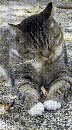 现在房子便宜了,在我们这里,十万块钱都能买一套房子了!我给欠我十万块钱的那个