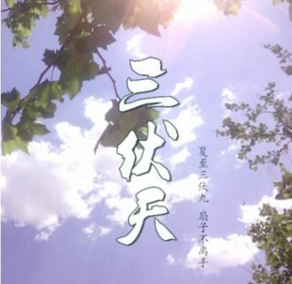 “三伏天”湿热重, 浑身难受, 用它泡水喝, 三天见效!