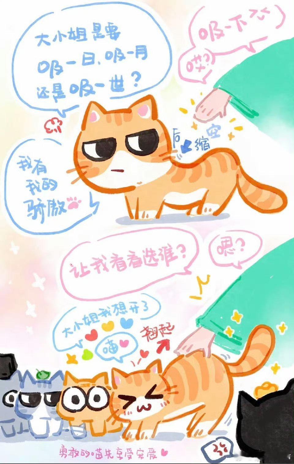 姐狗见多了姐猫还是第一次见导演怎么找到这俩的，太贴角色了演技嘎嘎好，姐猫组合太