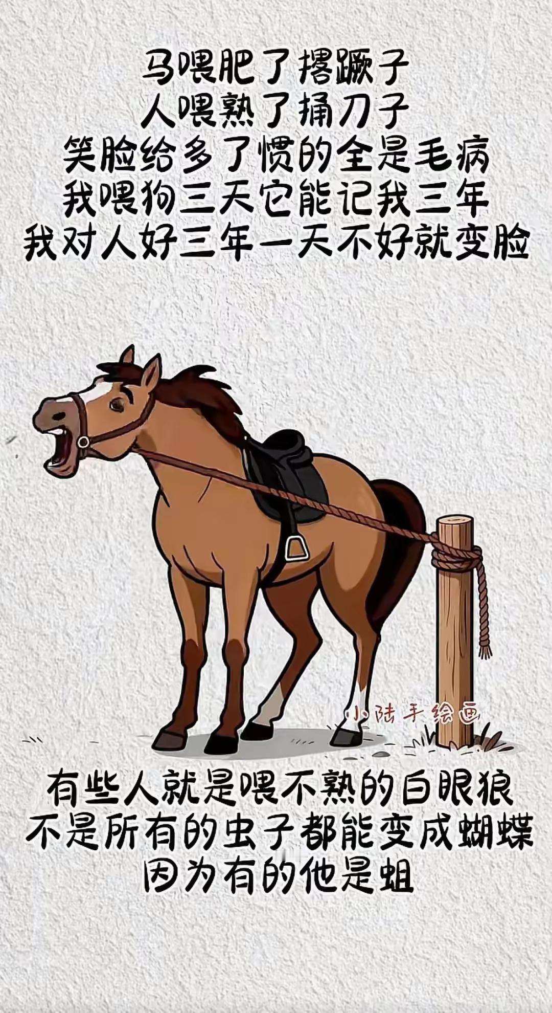 没有理性的善良都是愚蠢的，所以说好人没有好报，善良要给善良的人，善良给坏人，那叫