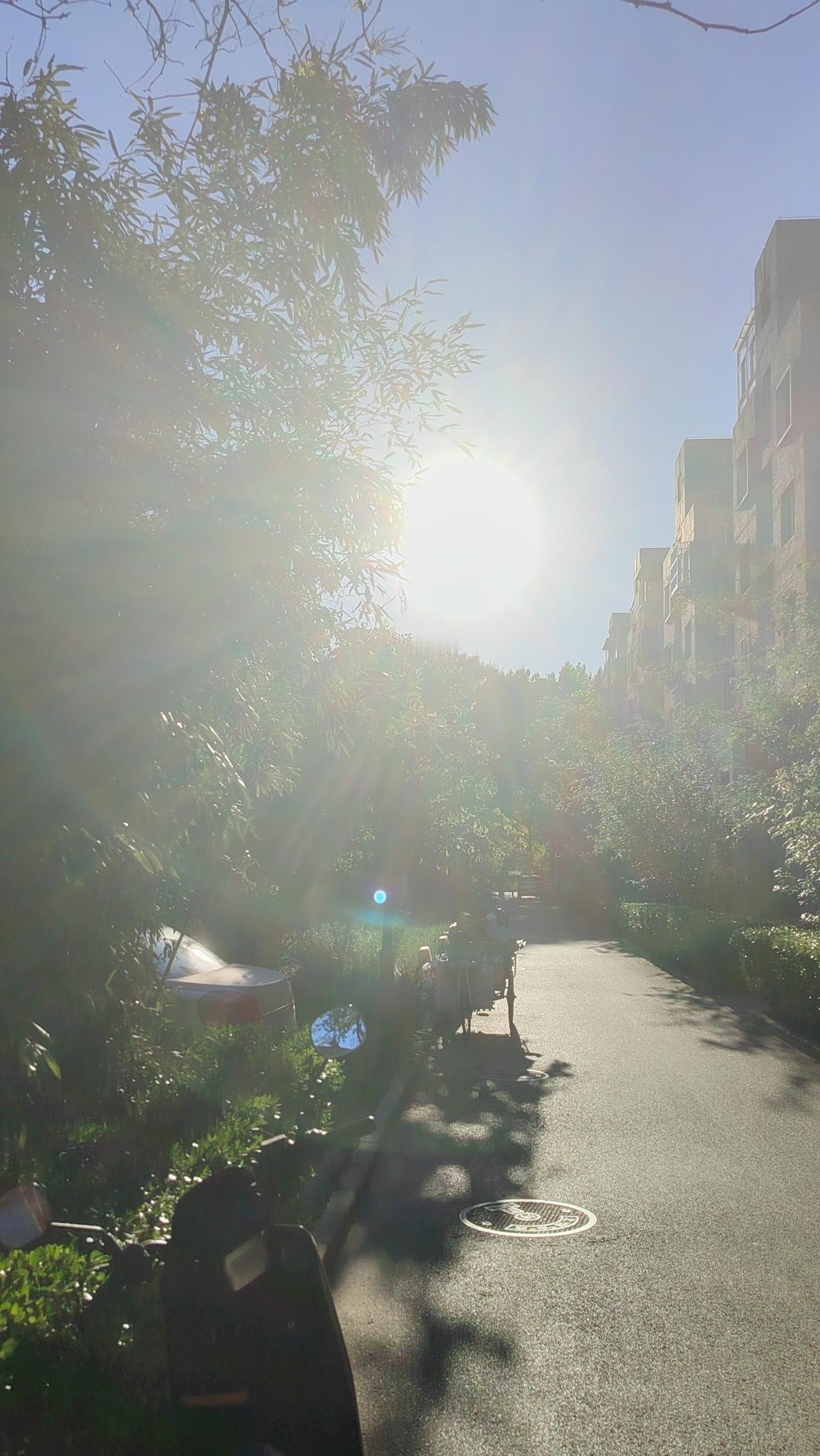 “行动的力量”警句：“路虽远，行则将至；事虽难，做则必成。”小故事：