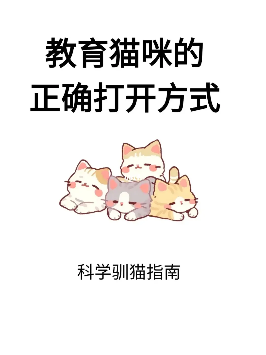 教育猫咪的正确打开方式