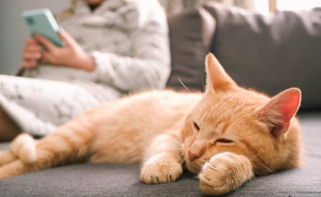 一家4口，没有一个人上班，这样的日子怎么过？​大儿子23岁了，大专毕业两年出来