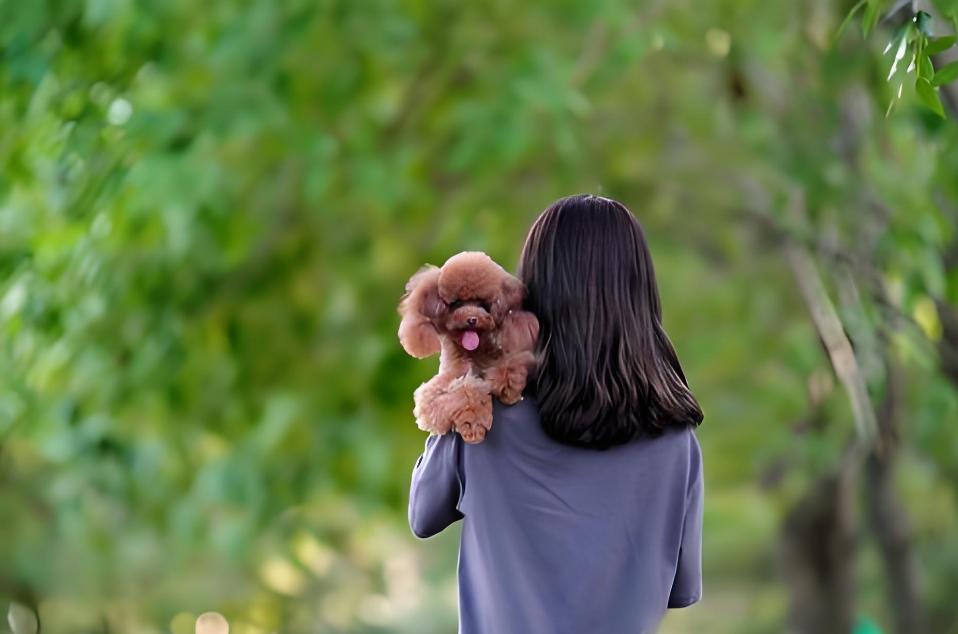 家庭和睦的关键，是这五条“相处之道”：家庭本应是港湾，但往往最亲密的人，反而