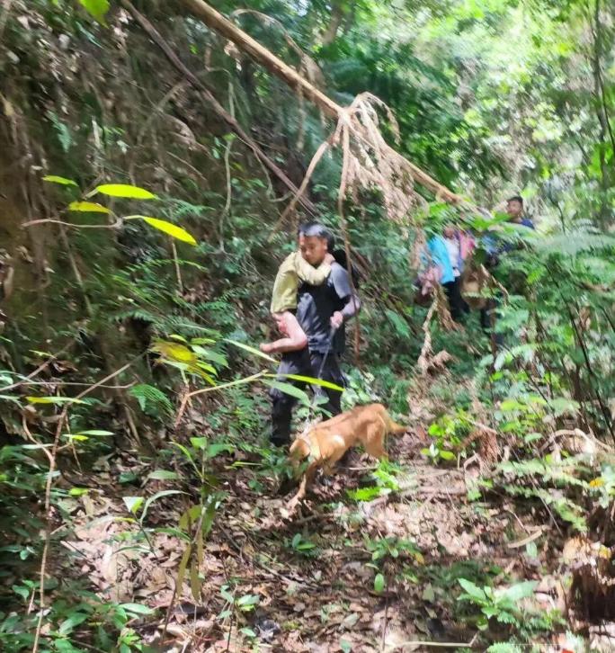 奇迹发生了！肇庆11岁男孩误入无人深山，失联13天，就在所有人都以为孩子已经遭遇