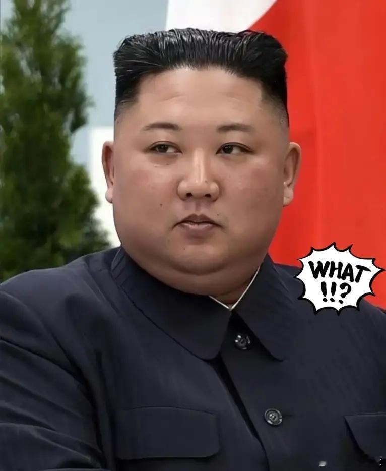 10月10日，朝鲜在纪念劳动党成立80周年阅兵式上，公开展示了新型洲际弹道导弹