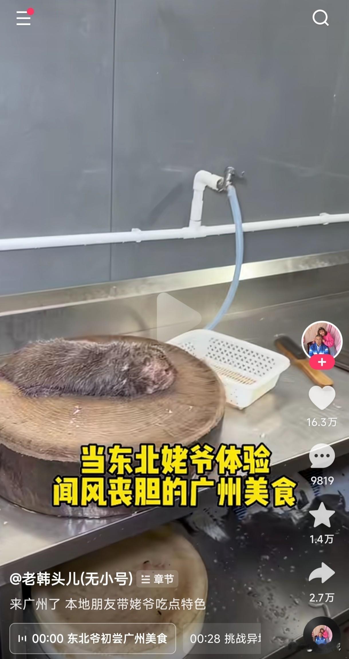 在广东老鼠上桌是什么菜名？不知道这是专门喂养的老鼠，还是那种田间地头人人喊打的