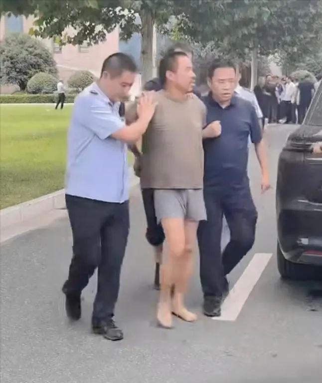 被蜜蜂蛰过的都知道比蚊子叮的疼多了，但是我们普遍认为蜜蜂对人类社会来说是益虫，蚊