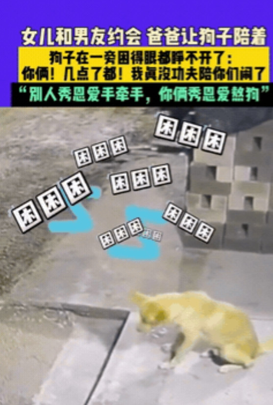 “狗都要上夜班了！”辽宁，一老父亲担心女儿晚上出去约会太晚不安全，又不好意思亲自