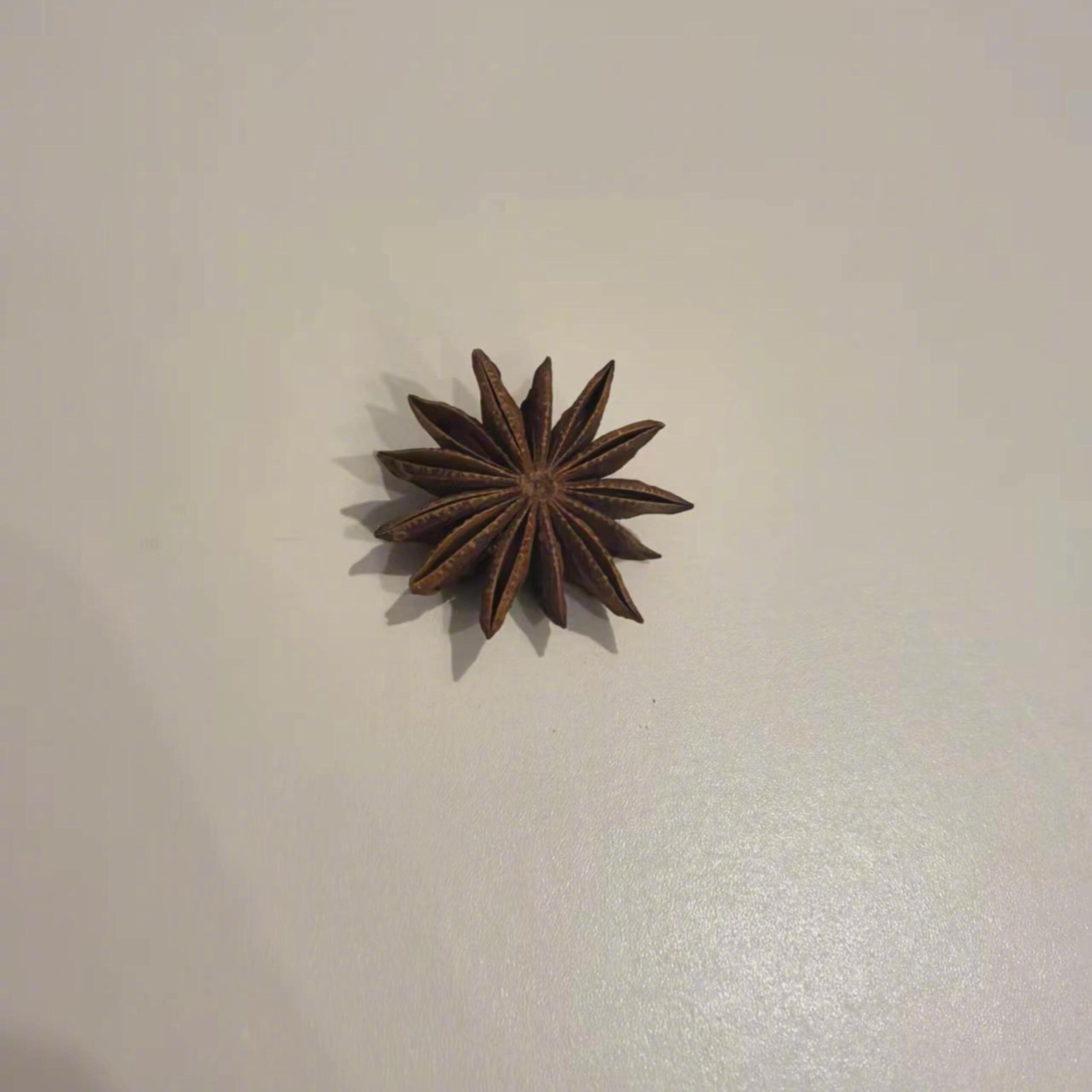 商家多送了我40%的角​​​