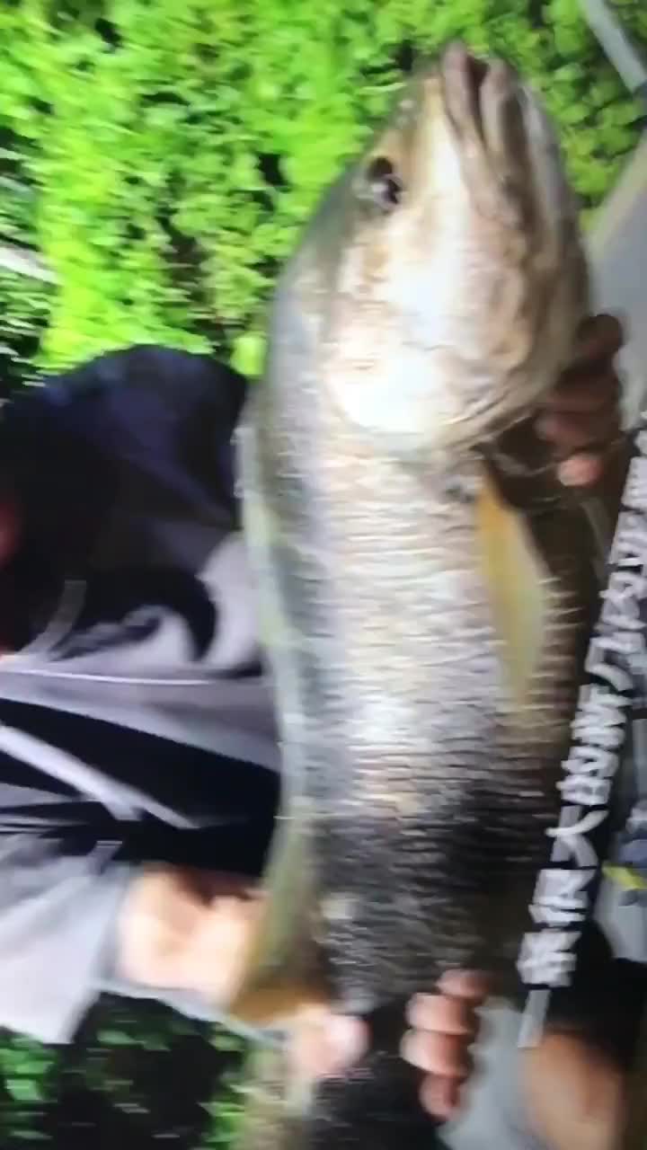 爱玛看钓鱼(2)_土豆视频