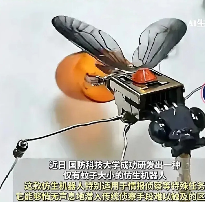 国防科技大学宣布成功研发出迷尔机器人，这款只有蚊子体积大小的仿生机器人，在军事领
