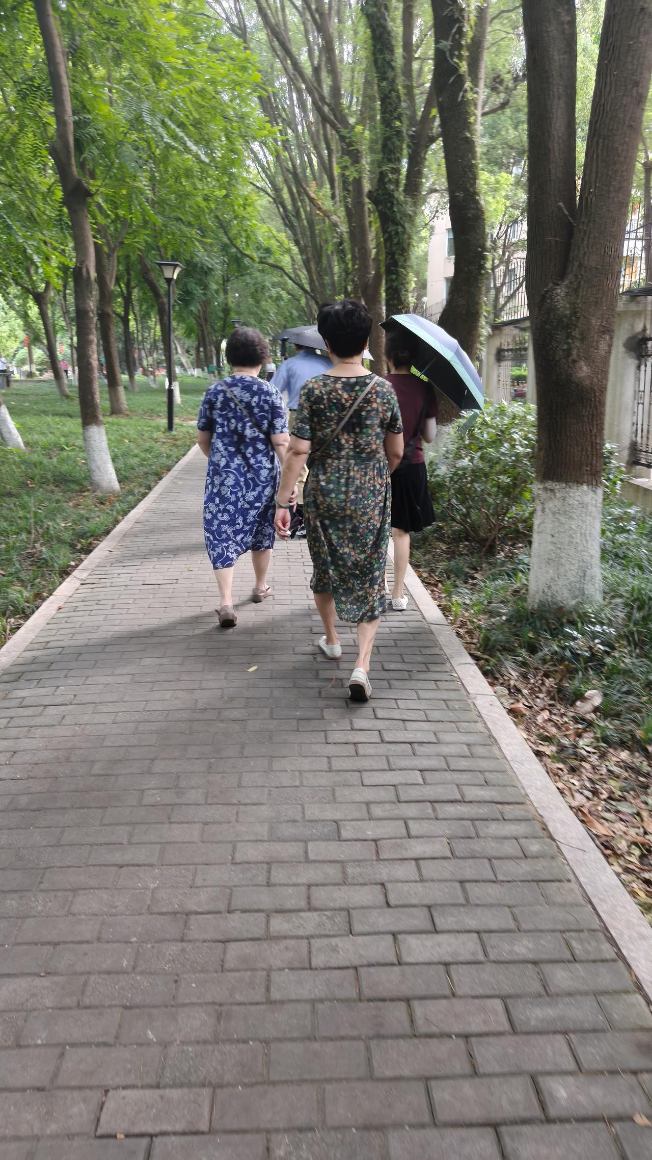 我大姨的遭遇，足以给大家敲响警钟。大姨育有两子一女，三个孩子都很有出息。可惜她老