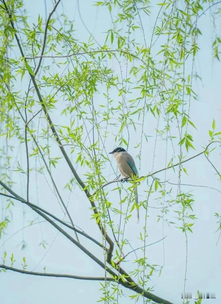 一早收到一条消息，我一个同学去世了。心情瞬间不好了。他今年也就56岁，还没退休呢