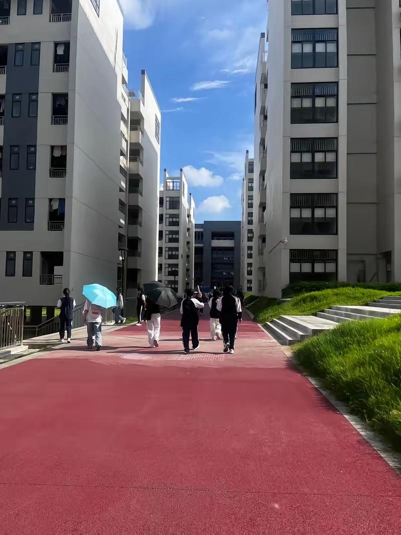 你知道现在中国最赚钱的生意是什么吗？去年夏天，一个刚满18岁的技校生在宿舍楼顶站