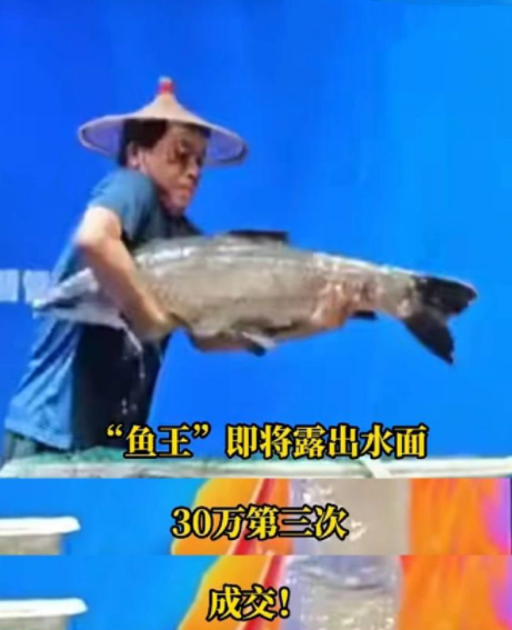 节目主持人：是我格局小了……