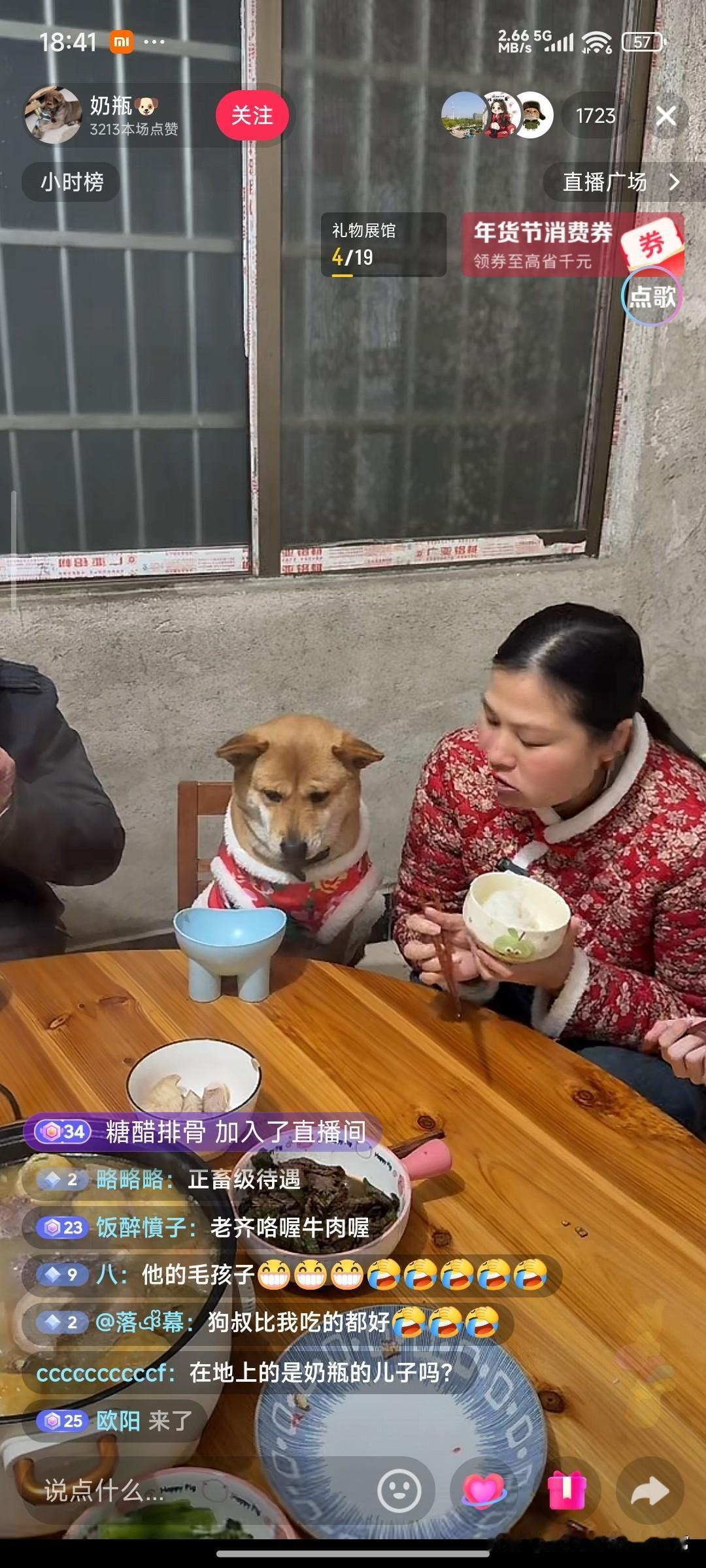 狗与狗的差距，比人和人还大！刷到这个直播直接破防了：一只叫“奶瓶”的土狗穿