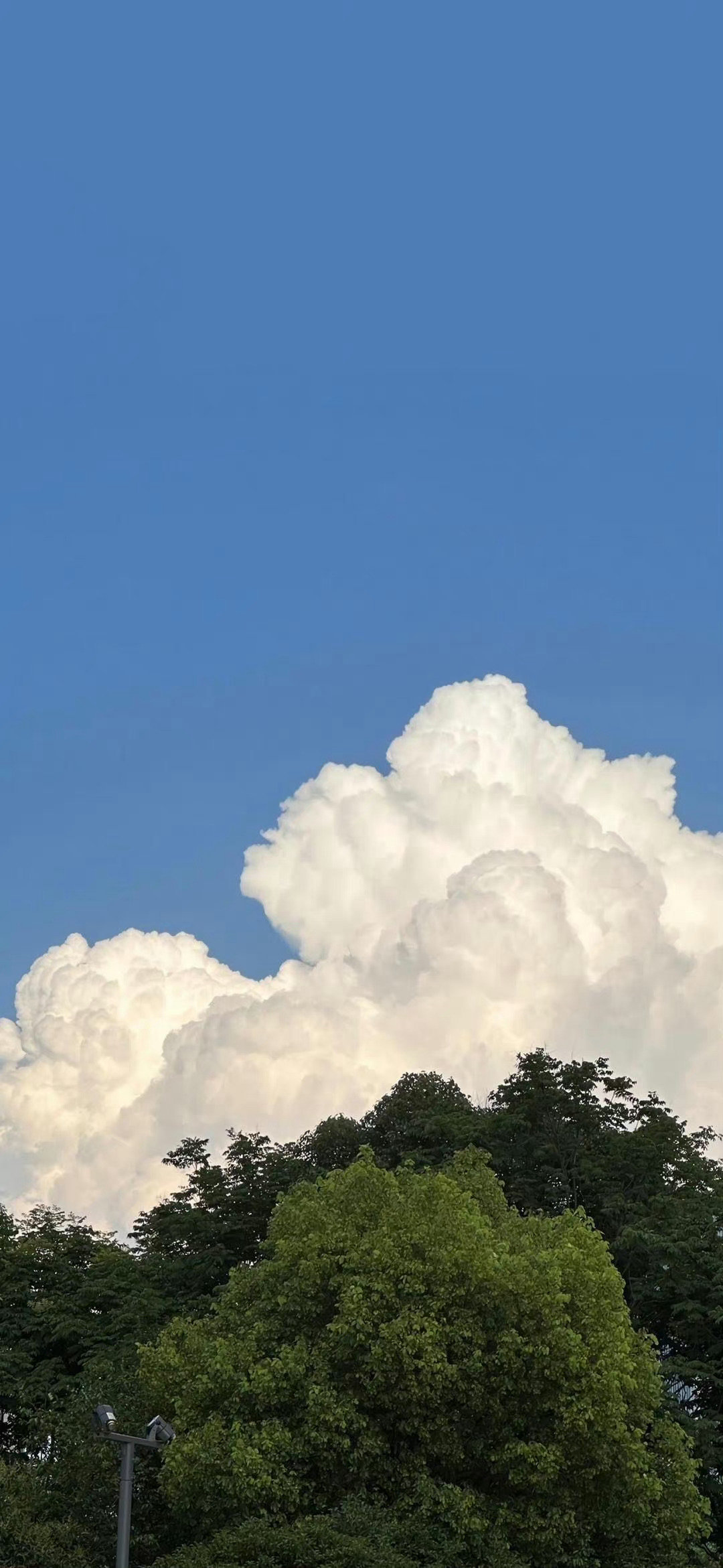 丰富一下你的手机壁纸