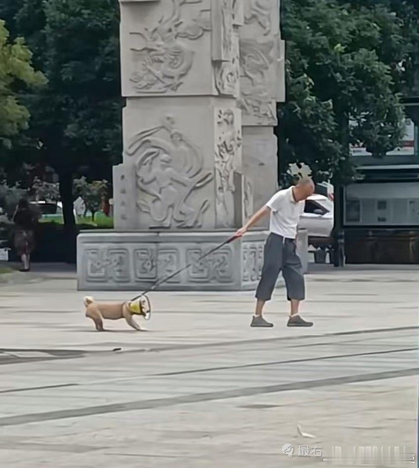 论文科生和理科生对画面的解读有多离谱​​​