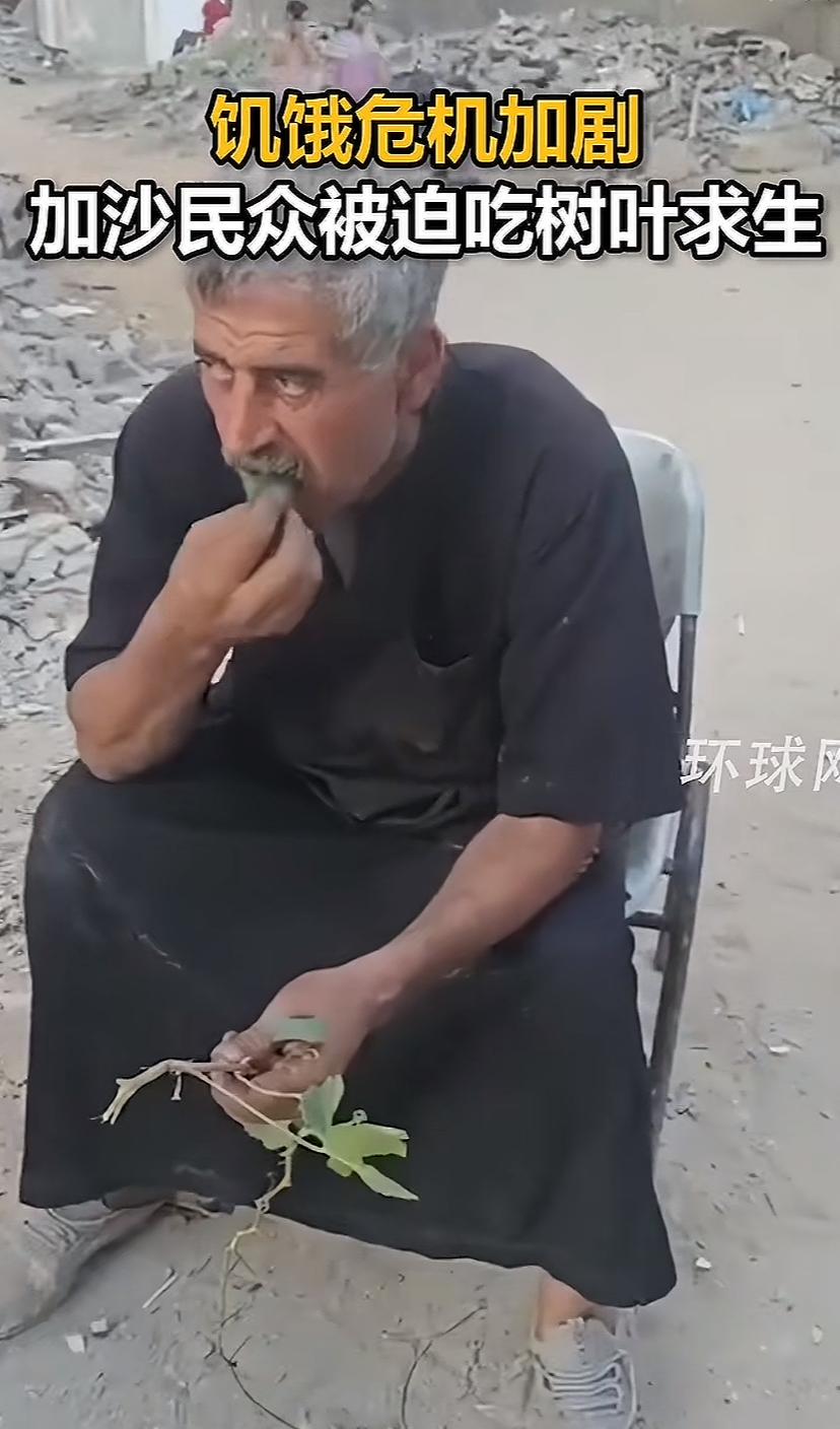 太可怜了！加沙一位大爷坐在废墟旁，拿着树叶往嘴里塞，看到拍摄者，他瞟了一眼，接着