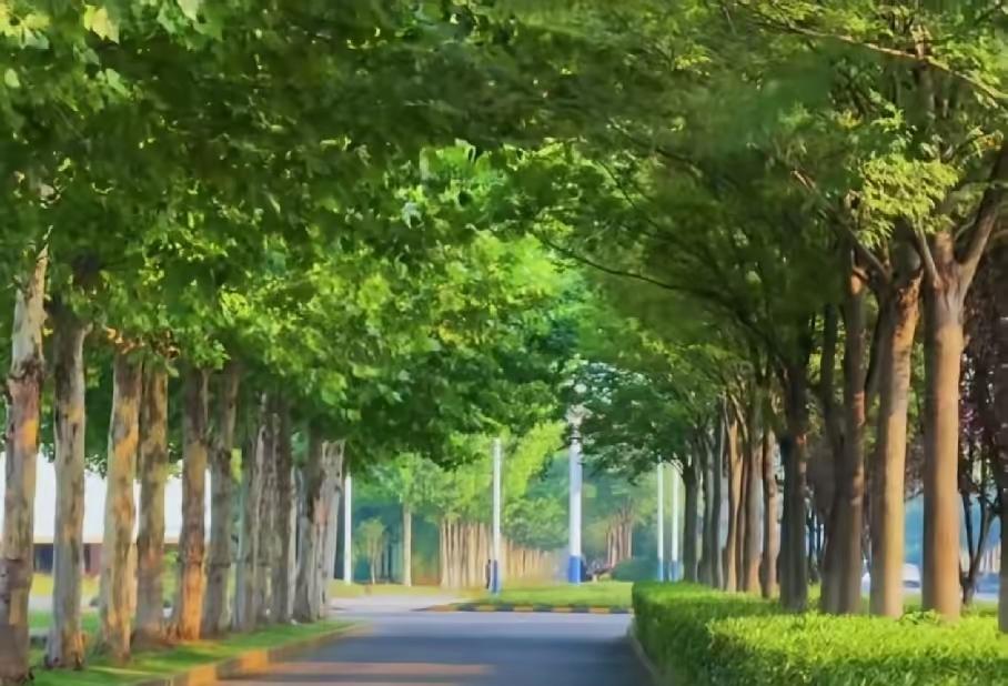 手里有钱就是硬气！我每个月退休金有7500，上次去儿子家看孙子，儿媳全程冷着个