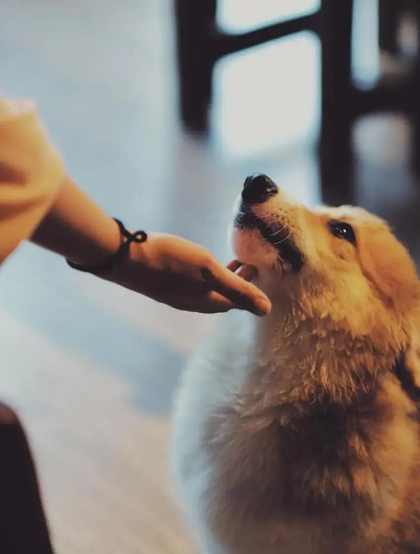 2026年3月，一名男生每天准时给女生发三条微信：“早吃了吗？”“中午吃的”“睡