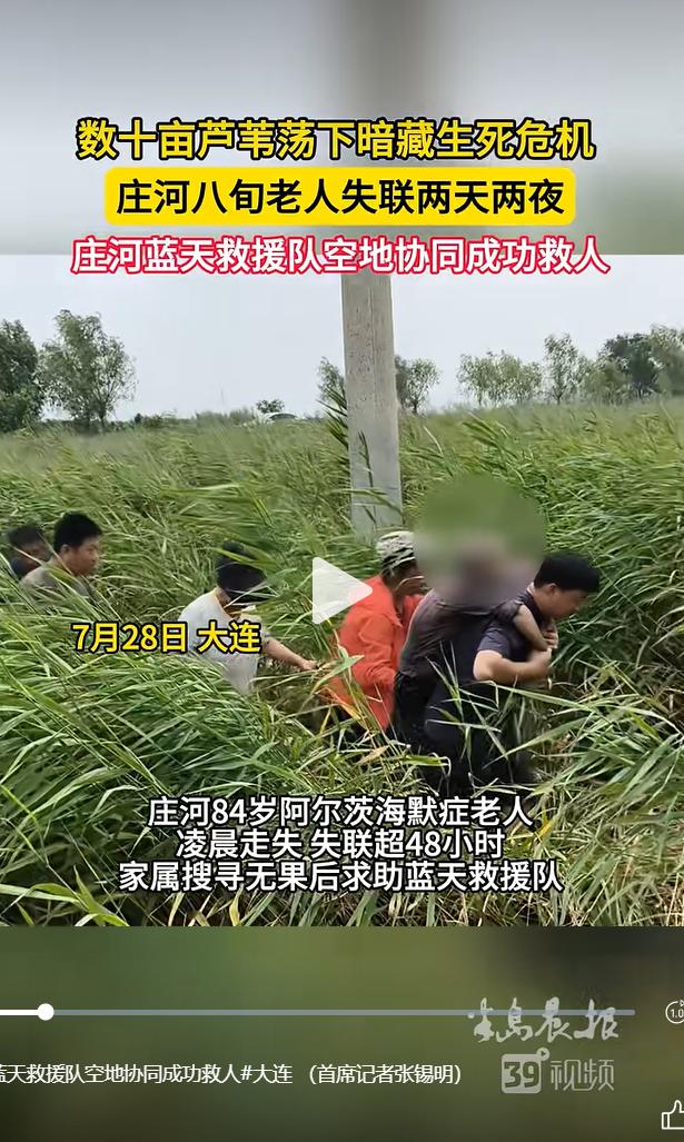辽宁大连庄河有一片连片数十亩的芦苇湿地，植株长势浓密、高度超过成人身高，普通人走