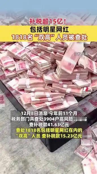 追星追网红？税务局比你还“上心”！刚公布的数据惊到我了：今年前11个月，竟然有1