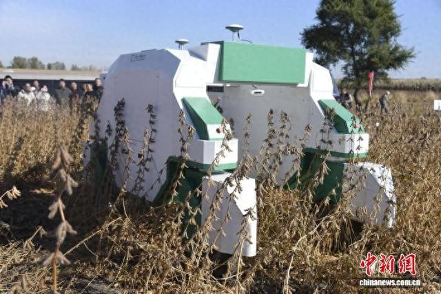 中国南方大豆育种前沿技术落地东北黑土地