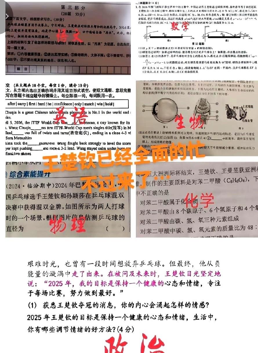 王楚钦自己可能都没想到。他在澳门世界杯那个神级回球，现在被一道数学压轴题，死死