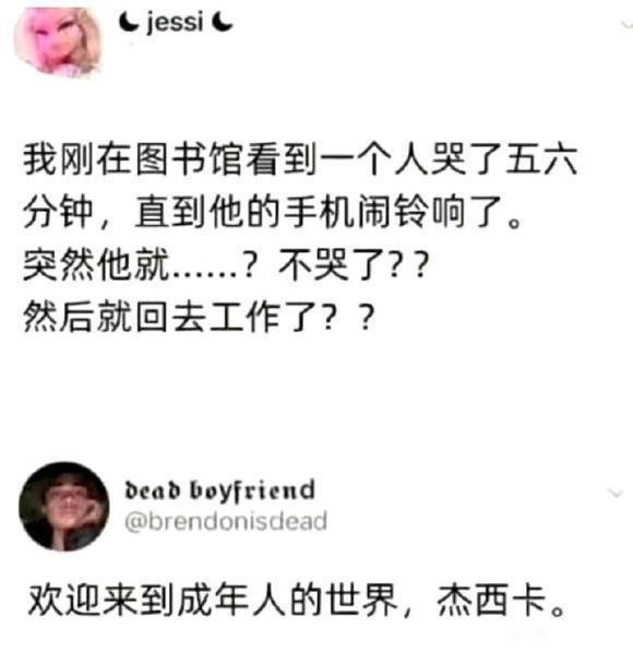 欢迎来到成年人的世界