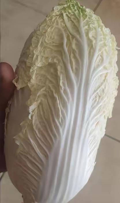 前几天刷到白菜蘸甲醛保鲜的新闻，回家一看家里放着颗大白菜，本来打算用来包饺子。我
