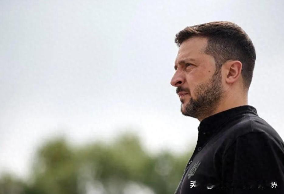 乌克兰没一点诚意。什么情况啊？俄罗斯这是输了吗？为什么泽连斯基20点停火计划，全