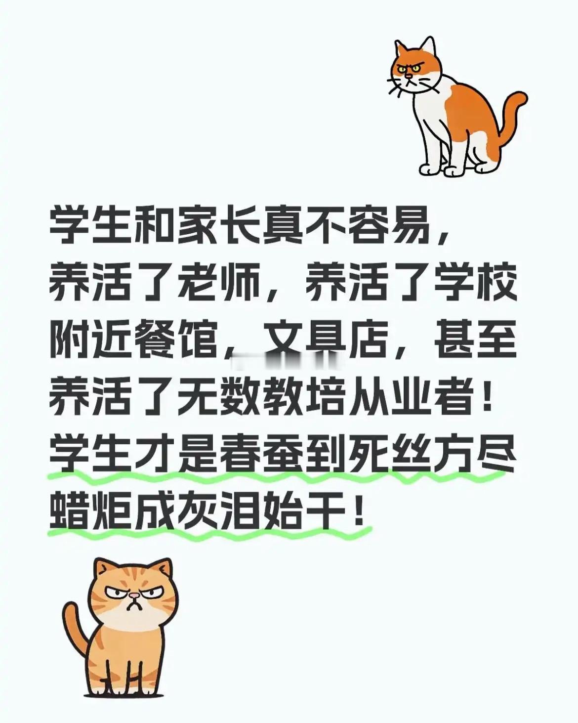 没人觉得家长和老师才是经济增长点吗​​​