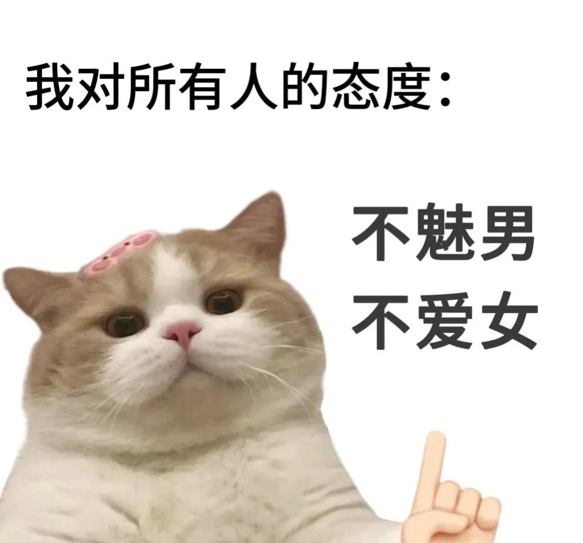 我对所有人的态度belike：表情包​​​
