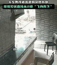 这个哥哥好勇敢[赞]
