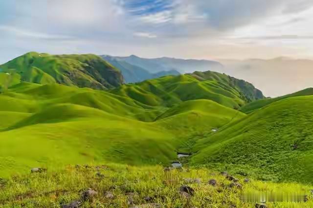 大爱无疆，生命如歌——一段令人扼腕的民间故事在河南许昌的一个普通小区里，发生了