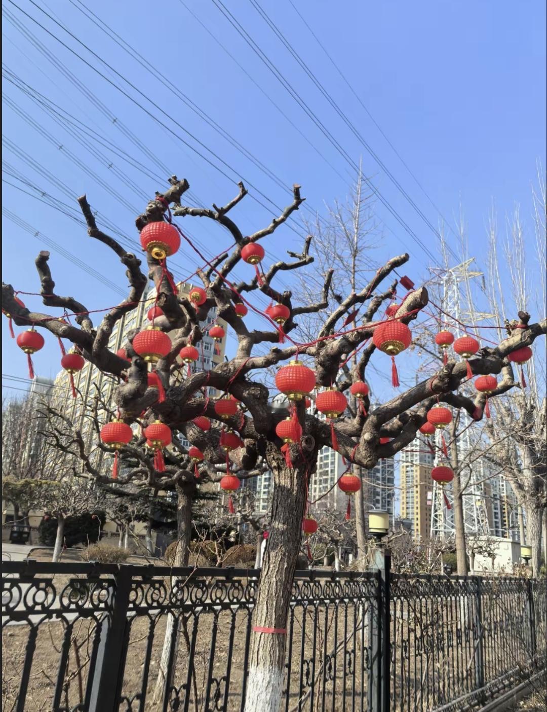 我最近总怕冷，早上起来手脚冰凉，试过盐袋热敷、姜枣茶、八段锦，还跟风练了几天“拙