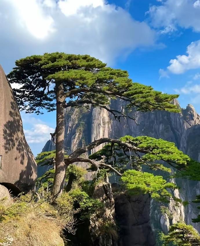 有担当的男人，10不做1. 不在家人面前乱发脾气脾气消，事才顺。心定，从