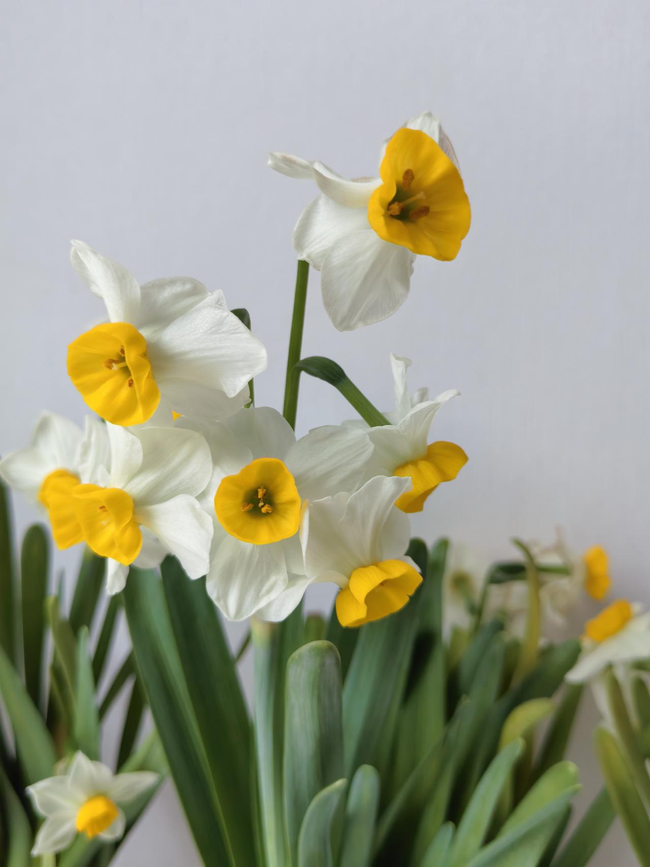 讲真，正常的00后男生都会认为二胎随母姓是应该的。由于工作的关系，我和3名0