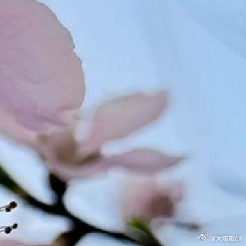 三月春盛，烟烟霞霞，灼灼桃花虽有十里，取一朵放心上，足矣