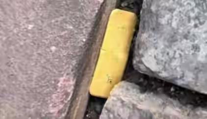 3月27日早8点，深圳罗湖区11岁学生李麒瑞上学途中，在田贝四路捡到标有“投资足