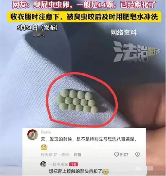 “太恶心了！”5月31日，四川一女子起床穿内衣，结果，却总感觉扣不舒服，她将内衣