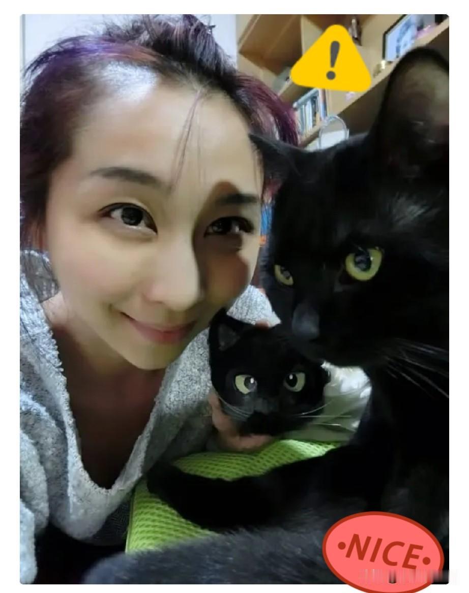 终于看明白了，为什么裴秩为什么不敢写自己的本科，不是因为不出名，而是因为天津