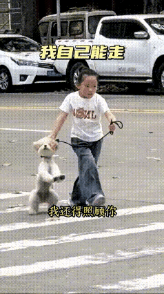 循环刷了好几遍这段视频，又好笑又心疼，小家伙遛狗的架势直接戳中我笑点。小小的