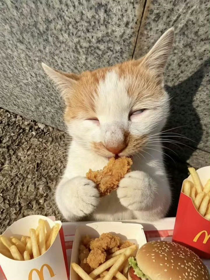 猫咪：v你50，把照片删了行吗