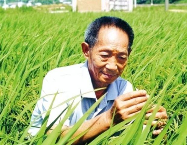 “应该立即死刑！”央媒在2024年4月曝光了一起惊天大案：我国杂交水稻之父袁隆平