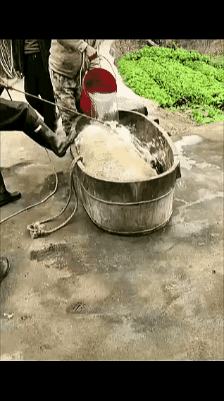 从来没有看过这么对待猪的，这有些过于残忍了，一点都不人道，尽管猪羊都是一道菜，但